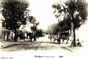 Alger-El-Biar - Grande Rue - 1903